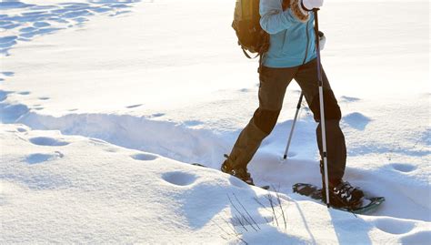 Paseo con raquetas de nieve por Fuentes de Invierno, Aller - Central de ...