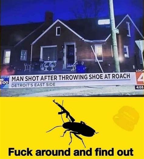 Cockroach Meme Invasion 的图像结果