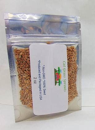 WILLVINE TLX-174 Hard Red Winter Wheat Seed Price in India - Buy ...