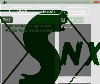 Image result for Coco Exploit