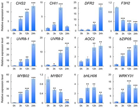 Transcriptomic Analysis Reveals the Involvement of Flavonoids Synthesis ...