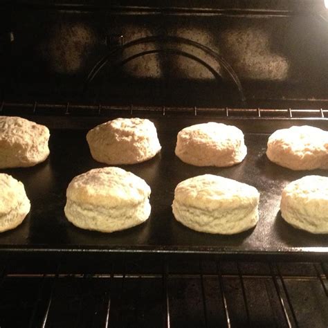 Image result for Titanium Biscuits