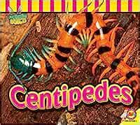 Centipedes (Fascinating Insects) : Willis, John: Amazon.in: Books