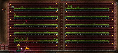 How To Plant In Planter Boxes Terraria at Antonio Talbert blog