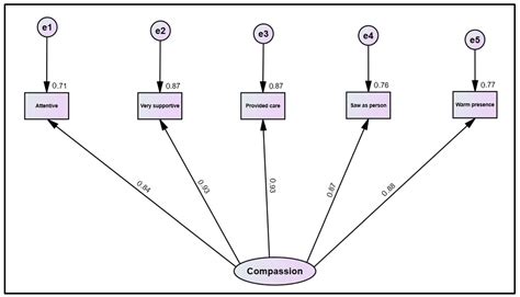 The Validation of the Sinclair Compassion Questionnaire (SCQ) and SCQ ...