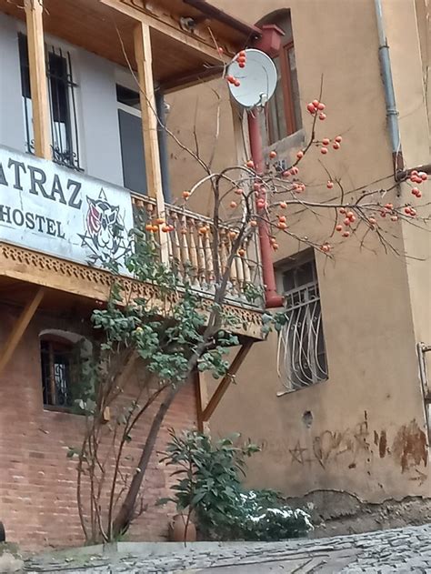 ALCATRAZ JAIL-HOSTEL (Tbilisi) - Hostel Reviews, Photos, Rate ...