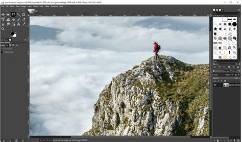 Image result for GIMP Ai Remove Object