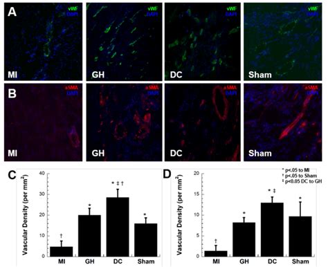 Image result for IHC Staining