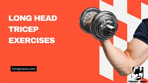 11 Long Head Triceps Exercises for Bigger Arms