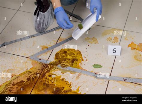 Forensic Science 的图像结果