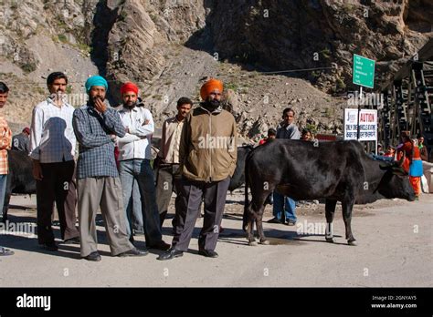 Local Mountain People India 的图像结果
