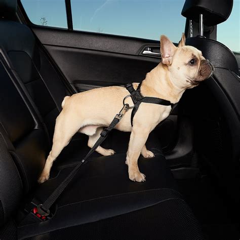 HDP Car Dog Harness & Safety Seat Belt Travel Gear, Black, Small ...