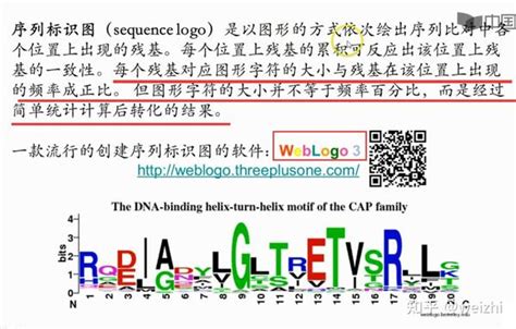 Two Sample Logo 的图像结果