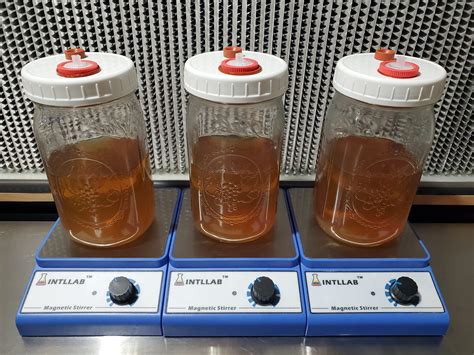 Liquid Culture Syringe – Sirius Mushrooms LLC