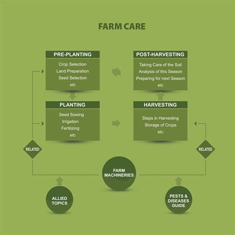 Tilbin Thambi - Head UI/UX