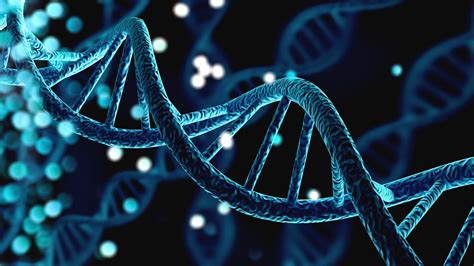 Image result for Genetics Algorithm Define