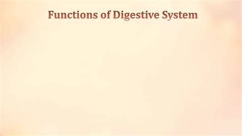 Image result for Digestive System Lecture