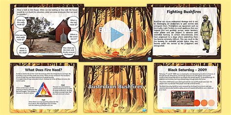 Prevention Of And Causes of Bushfires Activity Pack - Beyond