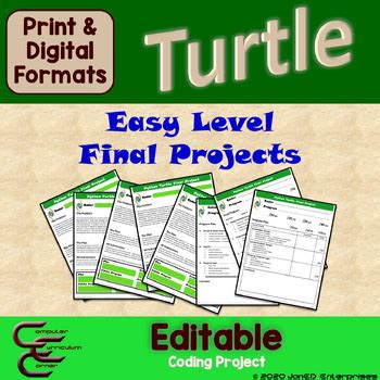 Image result for How to Do Turtle Coding