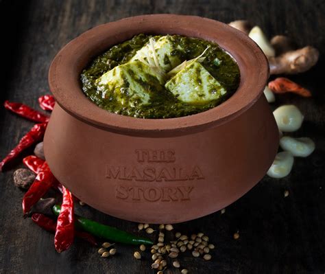 The Masala Story, Adchini, New Delhi | Zomato