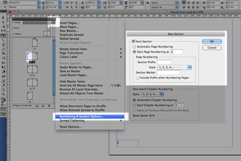 Image result for How to Do Page Numbering InDesign