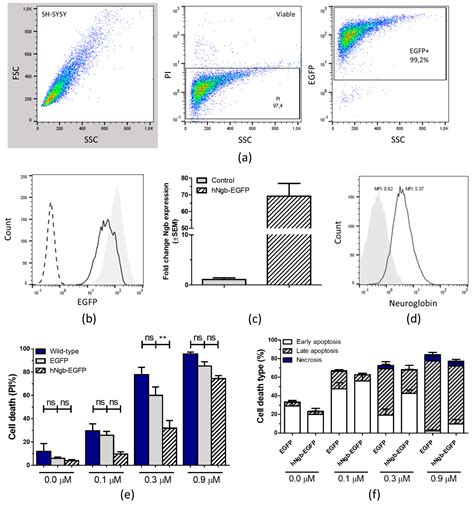 Connecting the Dots in the Neuroglobin-Protein Interaction Network of ...