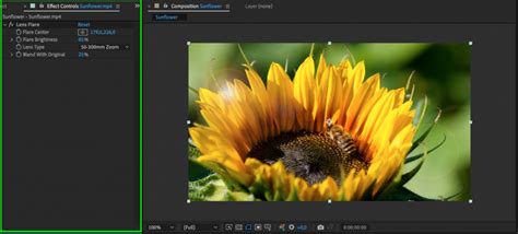Image result for Tutorial Como Quitar Flear After Effecs