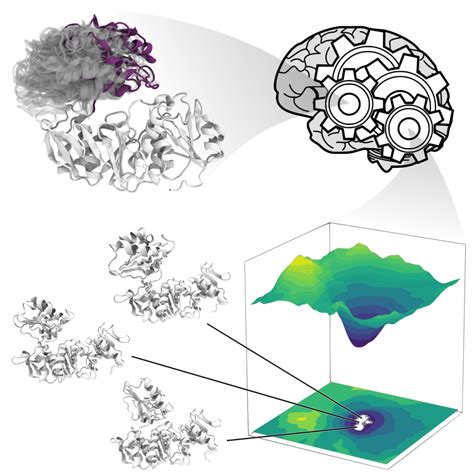 Image result for Conformational Polymorphism