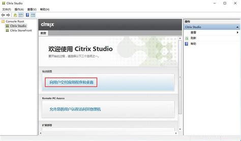 XenDesktop Tutorial 的图像结果