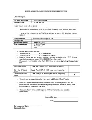 B-BBEE Exempted Micro Enterprise Affidavit - Blank Fillable Template ...