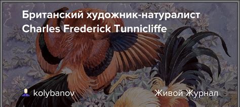 Британский художник-натуралист Charles Frederick Tunnicliffe: kolybanov ...