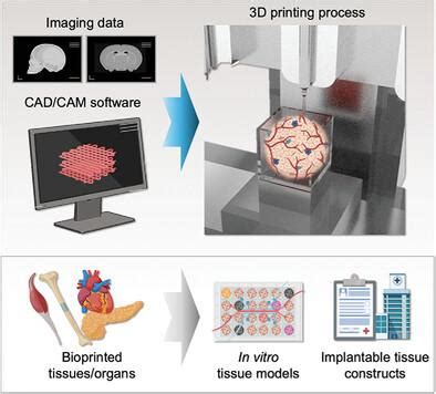 Bioengineering Examples 的图像结果
