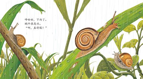 儿童绘本故事推荐《蜗牛》_版权