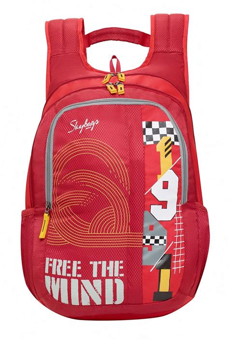 Buy Skybags Komet 04 21 Ltrs Red Laptop Backpack (Komet 04) at Amazon.in