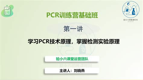 PCR Lecture 的图像结果