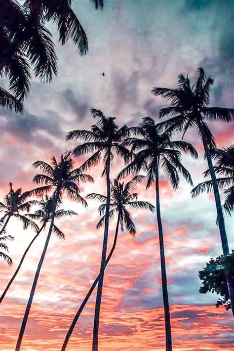 Image result for Wallpaper BG for Programmers JavaScript HTML/CSS