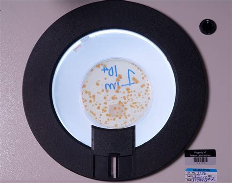 Ames Test and Genotoxicity Testing | Nelson Labs