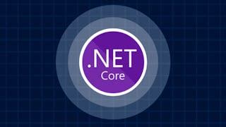 Image result for .Net Core Software What Programming Language Use