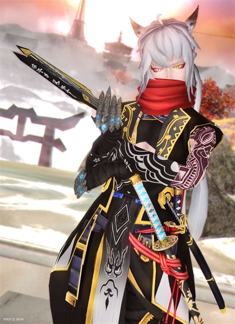 Image result for PSO2 Presets