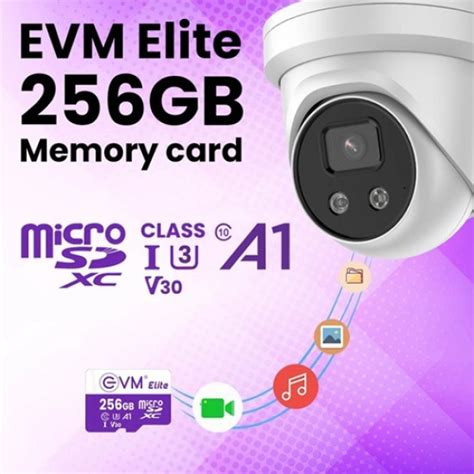 Buy EVM 256GB Class 10 Micro SD Card Online In India at HUBTRONICS.in