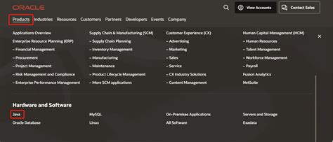 How to Get Java 8 的图像结果