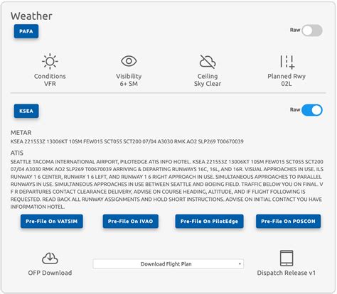 Simbrief Dispatch Tutorial 的图像结果
