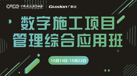 JSON Training 的图像结果