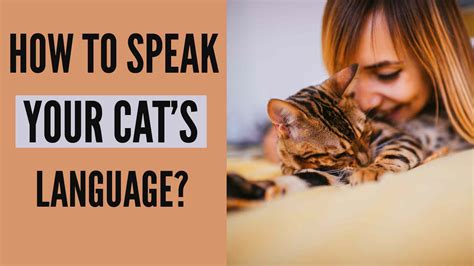 Image result for Cat Language