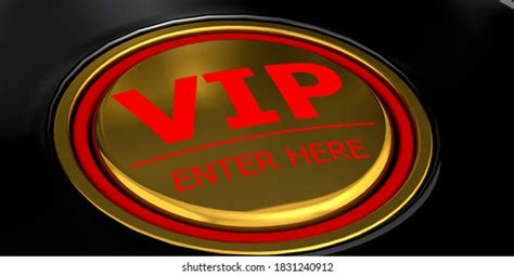 How to Enter VIP 的图像结果