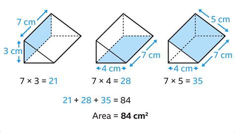 Surface Area Of A Prism - Download & Bonus Check Fast
