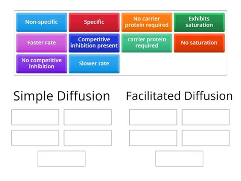 Simple Diffusion Vs Facilated Diffusion - Group sort