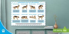 How is The Dog Feeling? - Dog Body Language Matching Activity