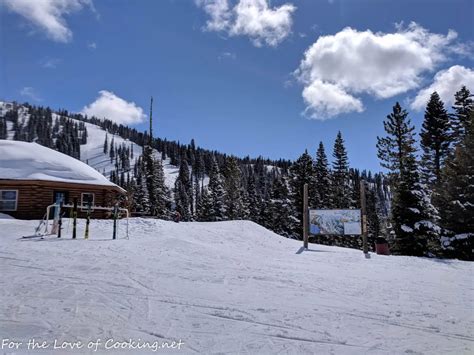 Image result for Spring Break 2019 Instagram