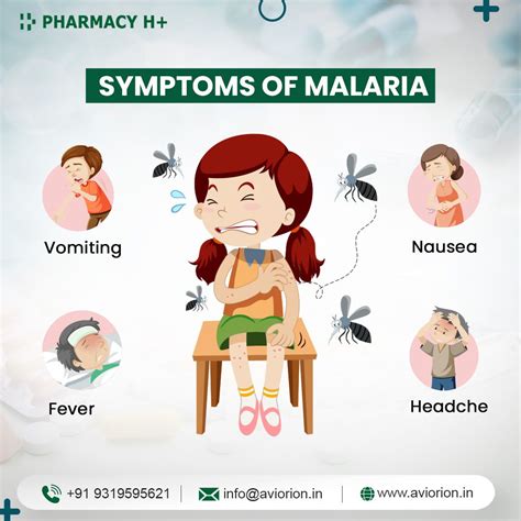 Symptoms Of Malaria Fever